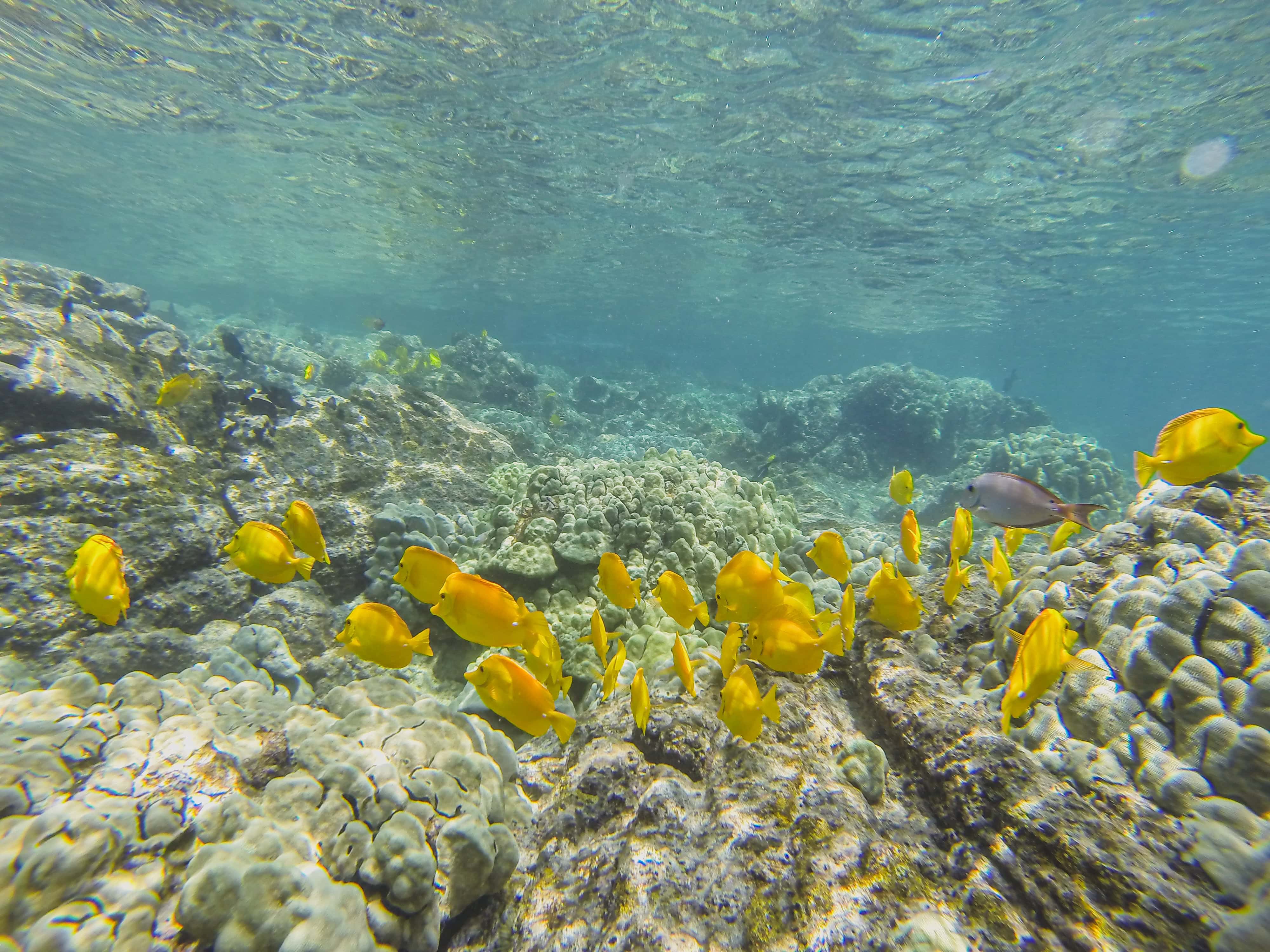 Big Island Hawaii itinerary