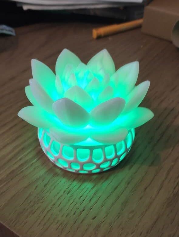 Fleur luminescente