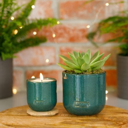 Forever Green Candle Gift Set