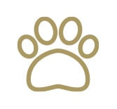 Pet-Friendly Living & Amenities