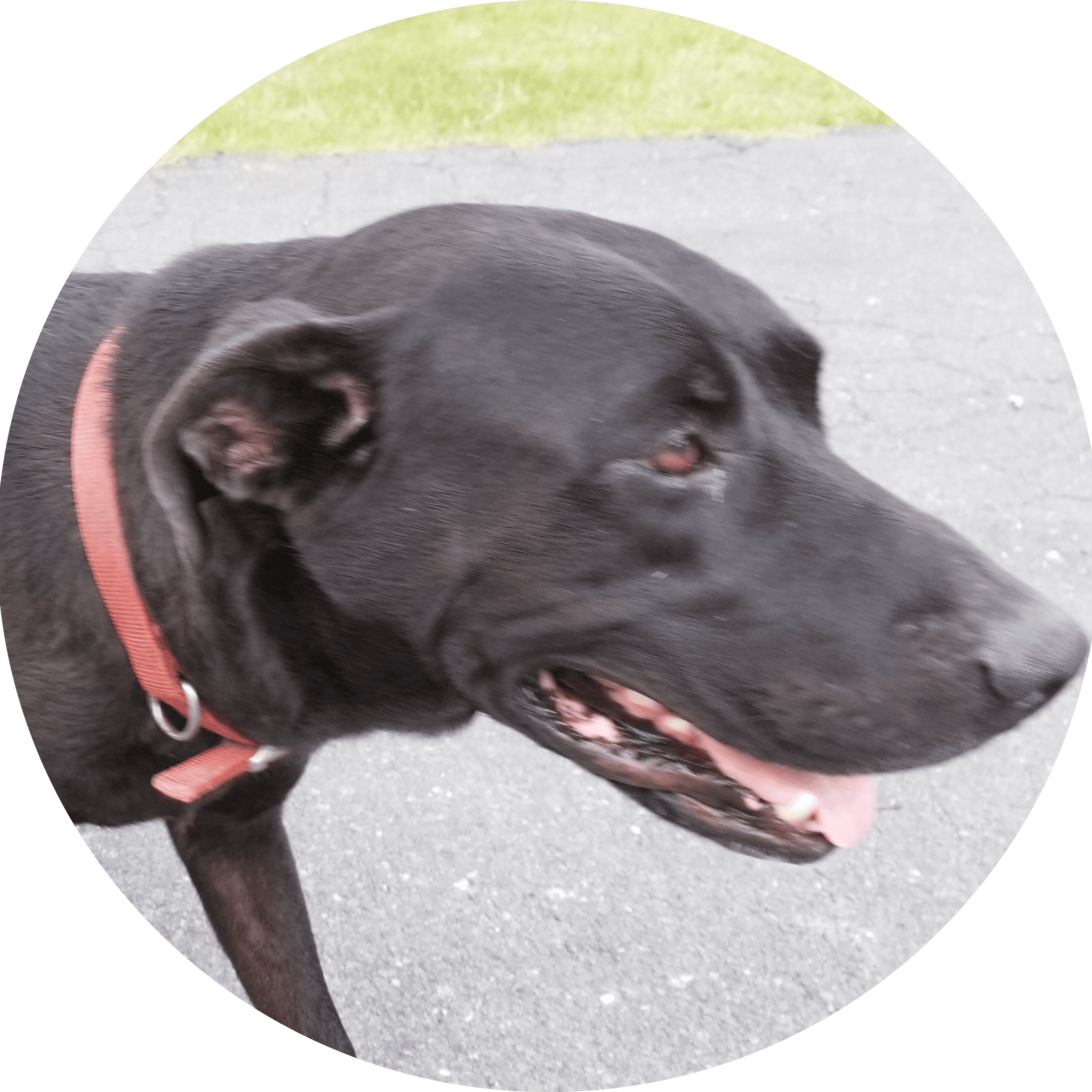 Thermal Conditioning Employee