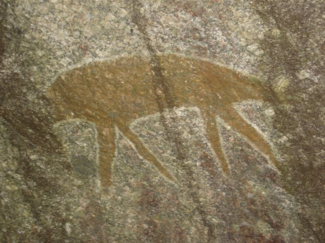 cave painting at Daintree Rainforest walking trail