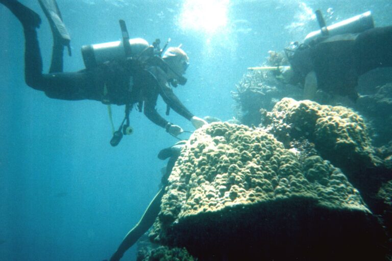 scuba diving at Great Barrier Reef