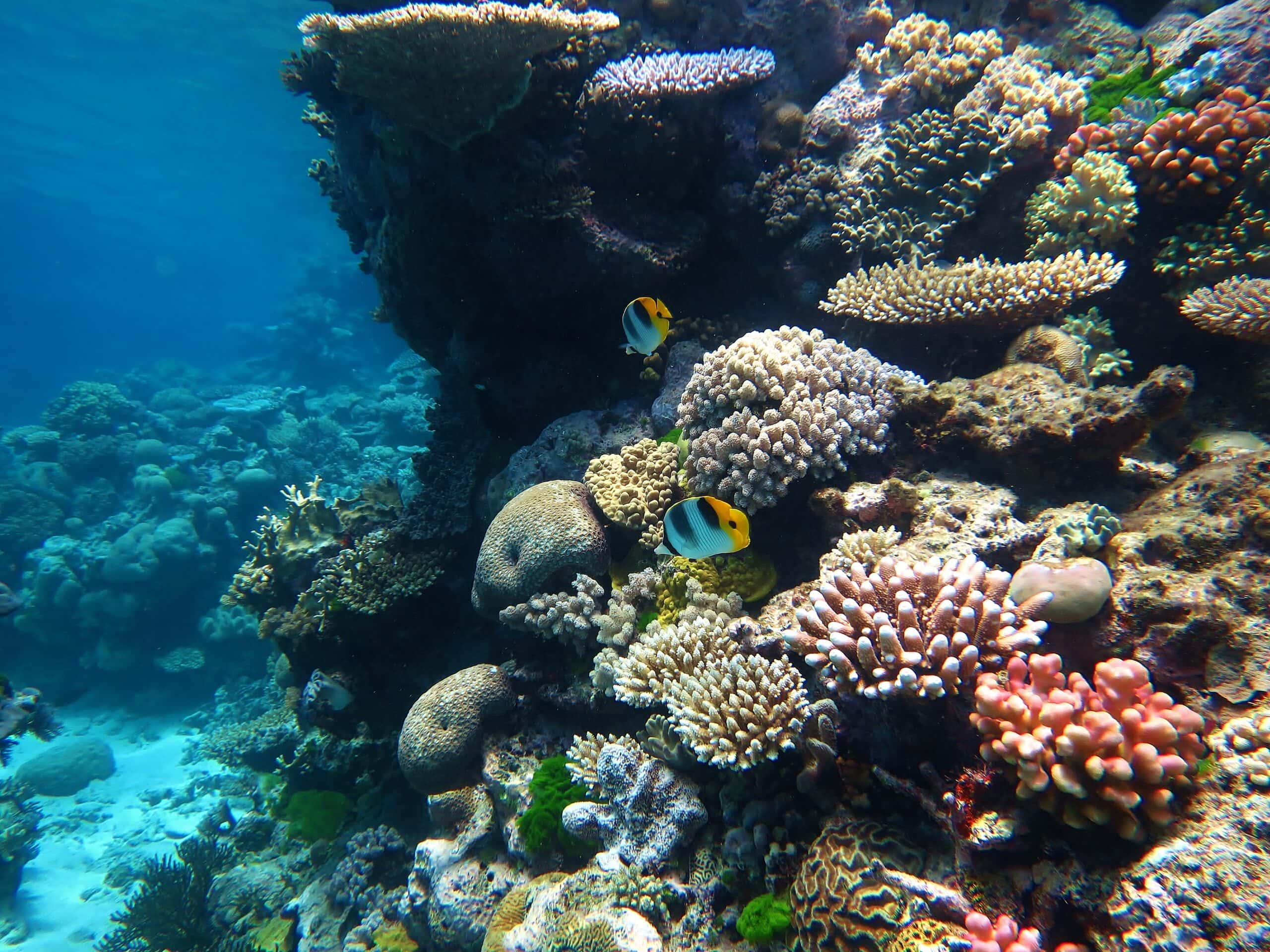 GBR in Autralia