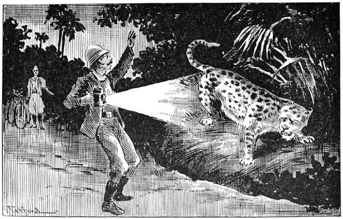 Leopard sighting by cyclists
