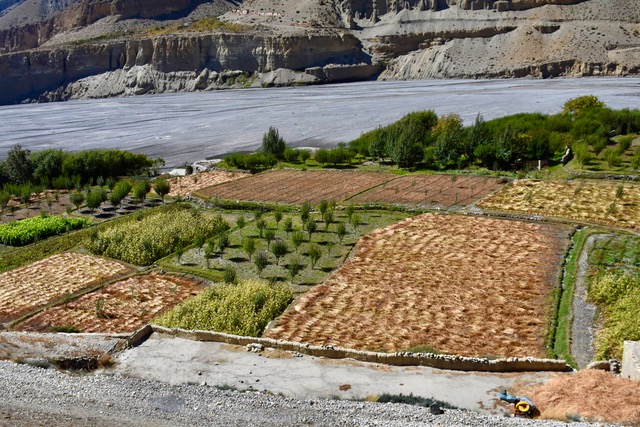 Upper Mustang (11)
