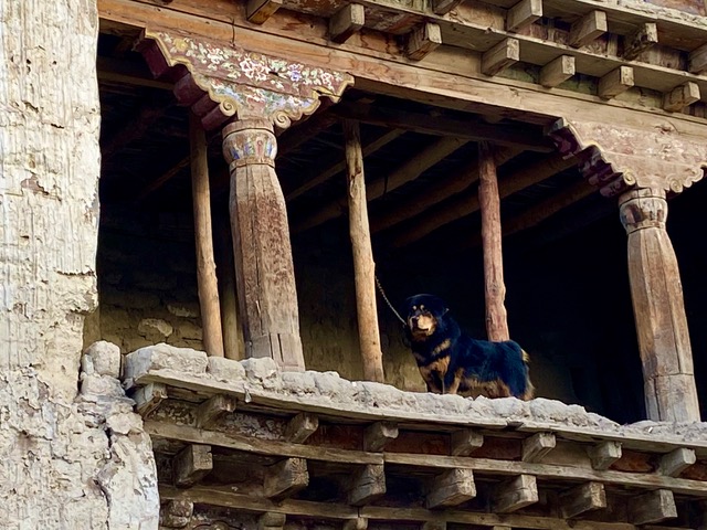 Upper Mustang (24)