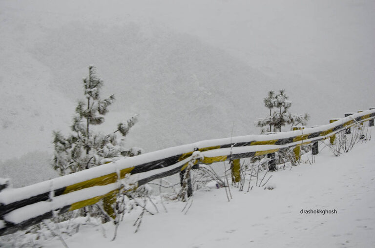 Snow deposits on roads and trees