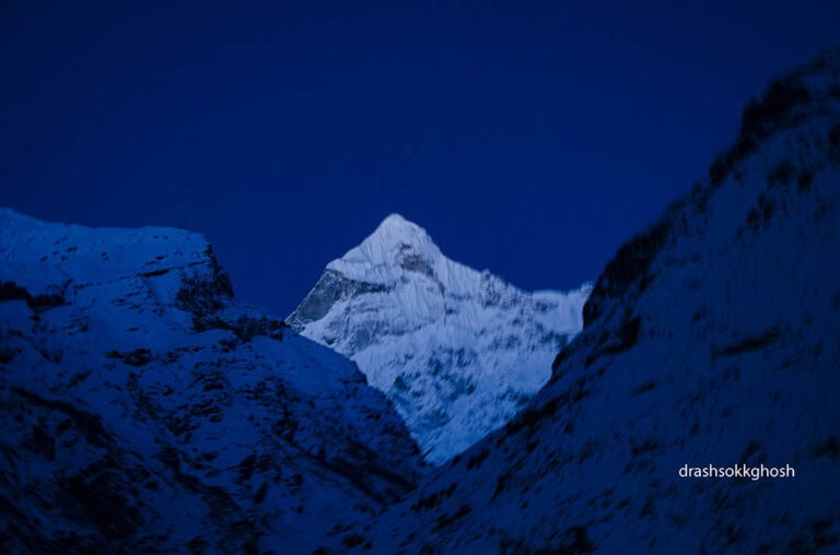 Neelkantha in a bluish sheen
