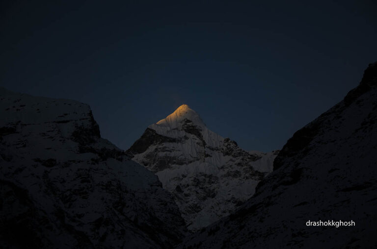 The golden-brown crown of the Neelkantha