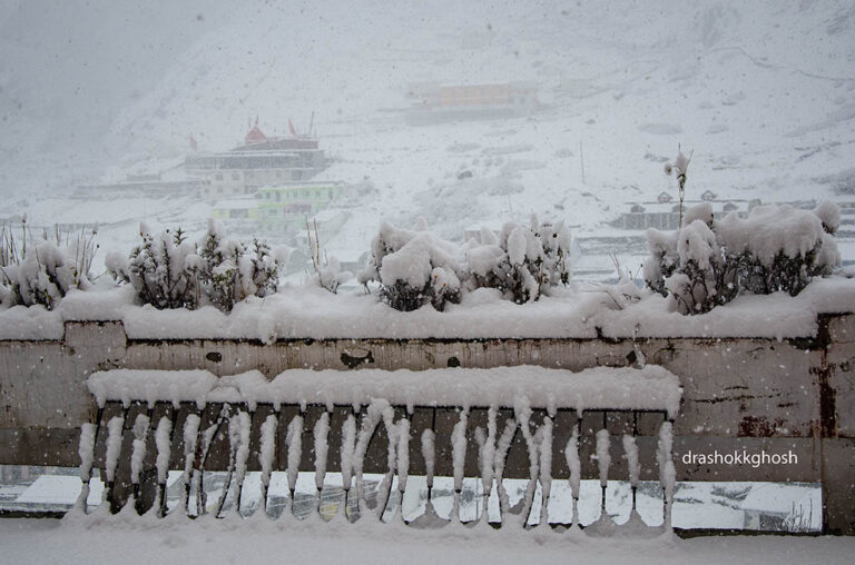 All snow-covered