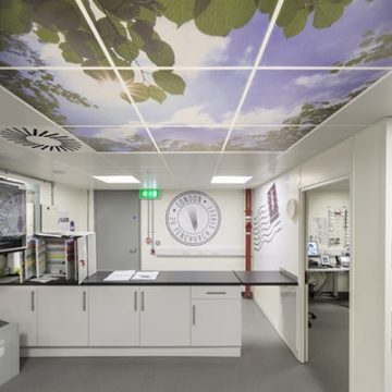 Large graphics of sun shining through leaves on the ceiling of the post room