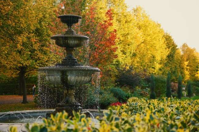 fountain and autumn trees in Regents park, London - the way we travel