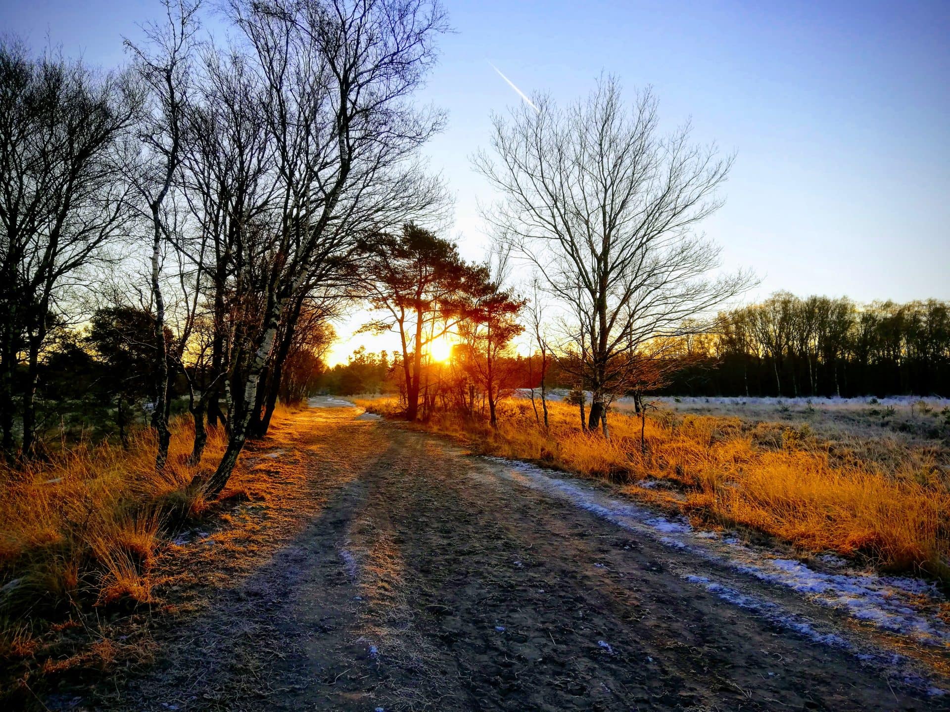 Those Who Wander