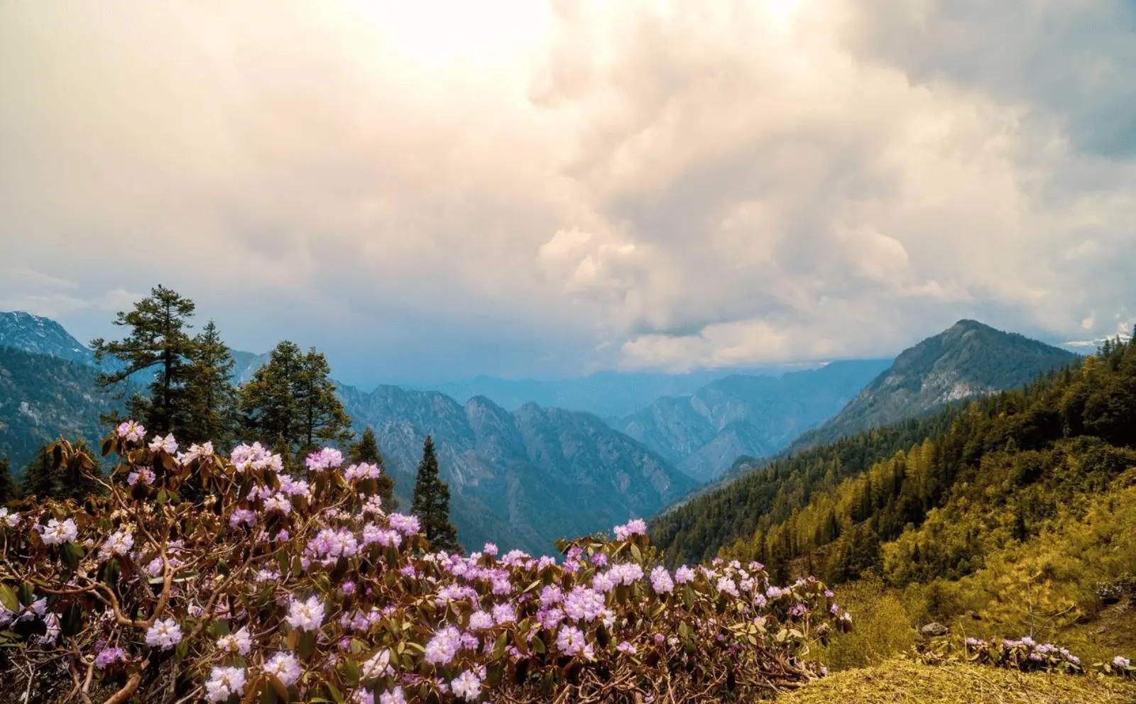 Trekking through Sar Pass with stunning views of snow-covered Himalayan peaks.
