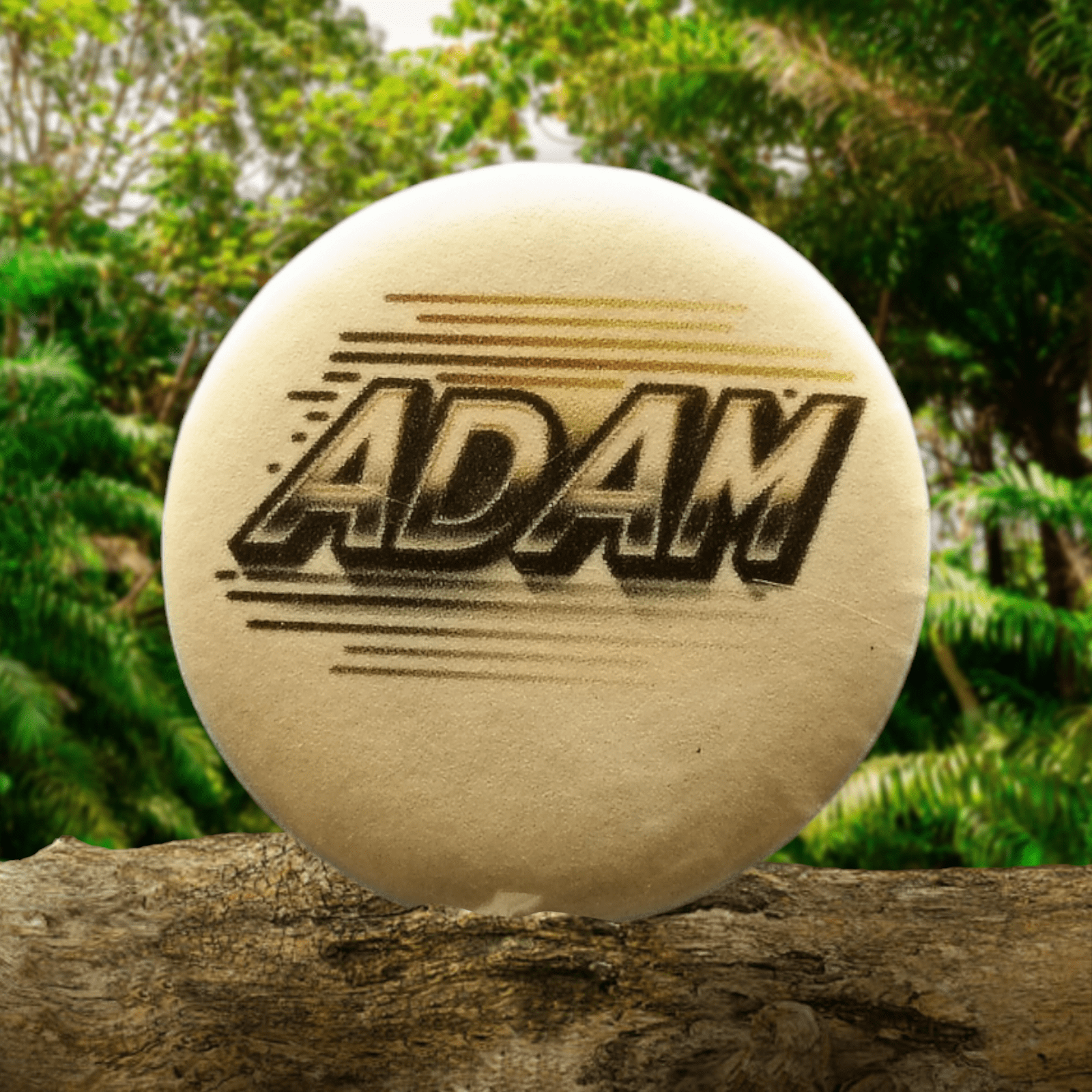 Adam Pin – product photo