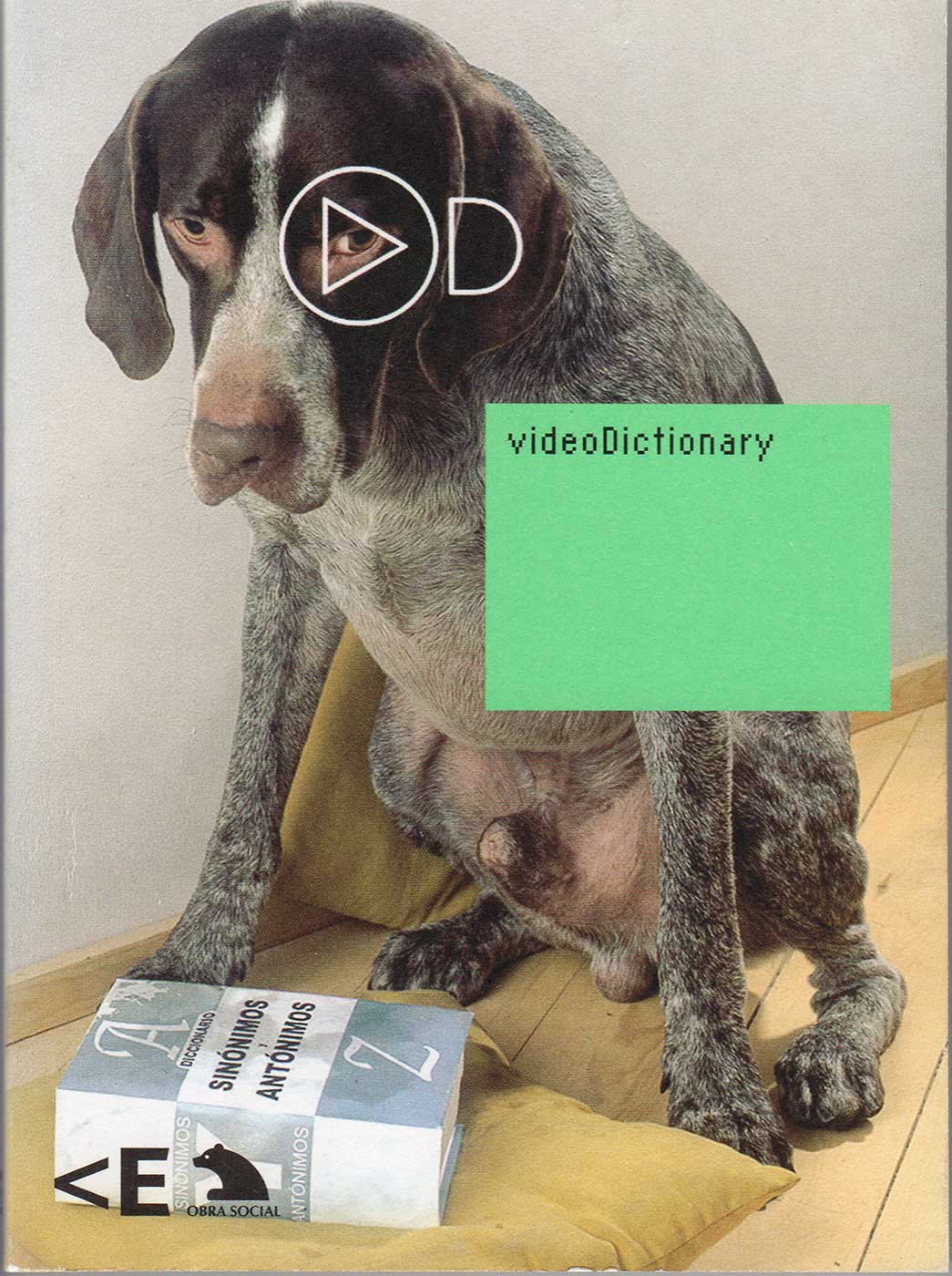 VideoDictionary. Hrsg: TheVideoArtFoundation, Manual Saiz, La Casa Encendida. Madrid, ES, 2005.