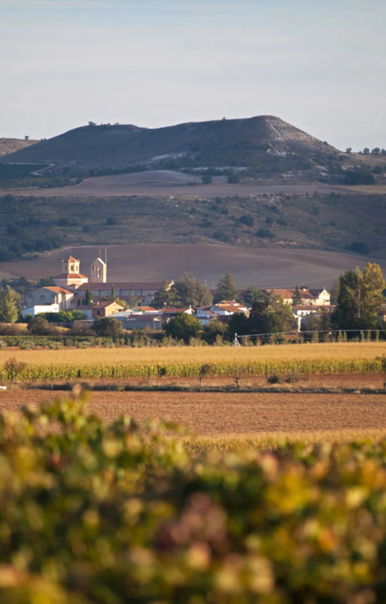 enoturismo-en-valladolid-valbuena-del-duero