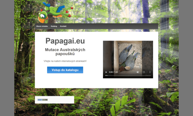 Papagai.eu