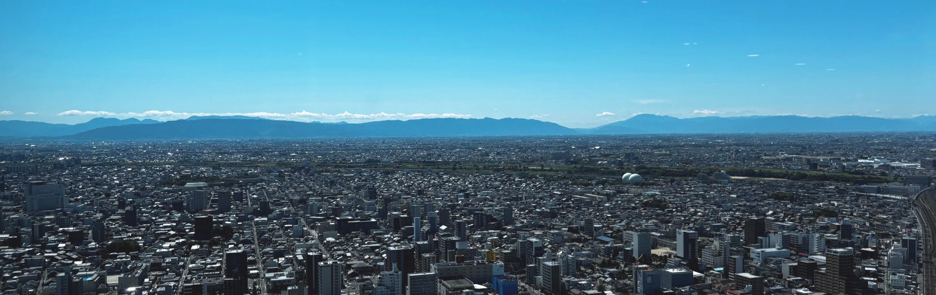 真因を見極める。そこから見える未来へ