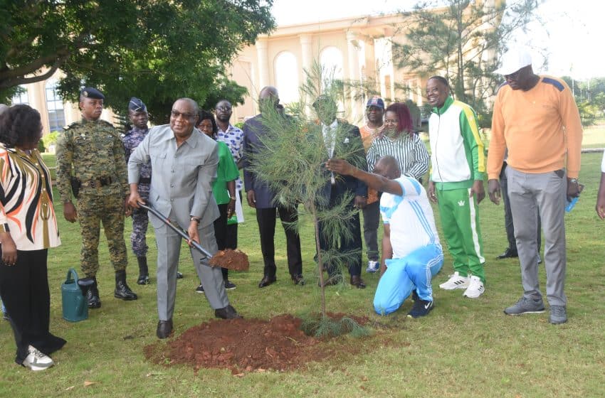  Journée Nationale de l’Arbre : L’Assemblée nationale et le Sénat plantent l’espoir