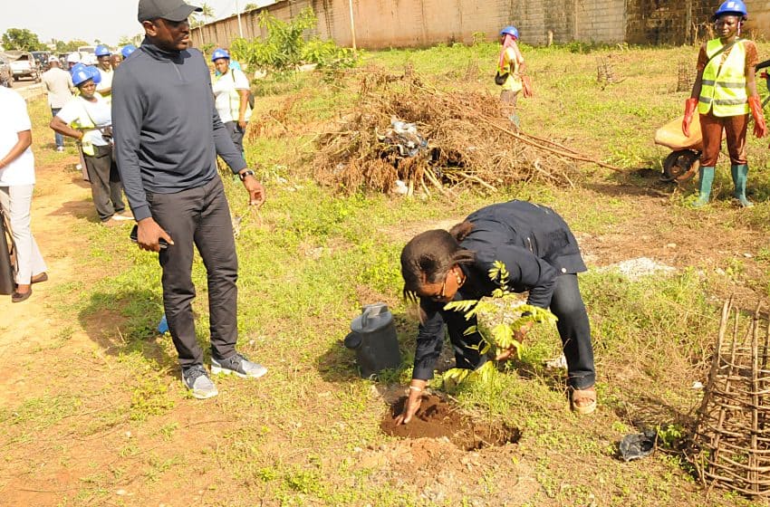  Le Fonds vert-conjoint met en terre des plants à Lomé