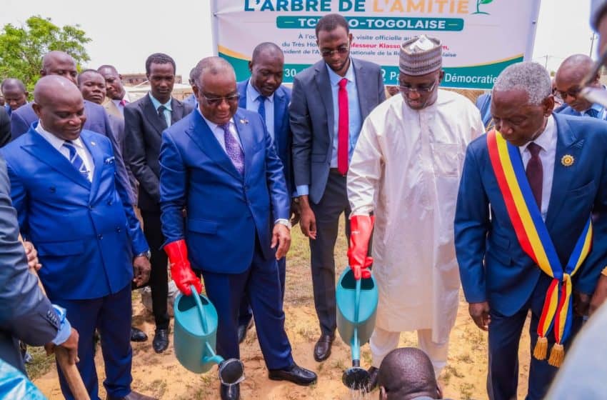  Lomé – N’Djaména : Vers une diplomatie parlementaire plus ambitieuse face aux défis du monde