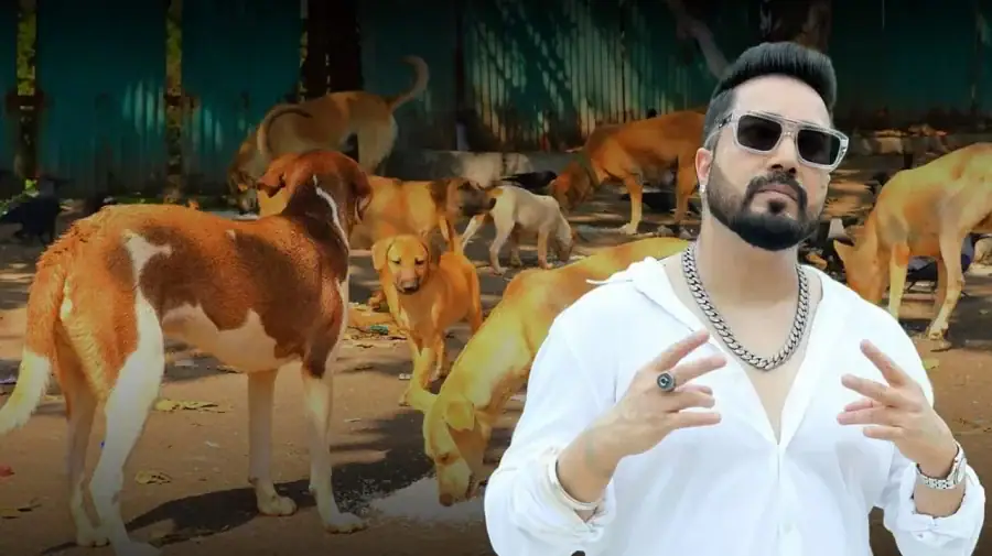 কুকুরদের আশ্রয়ের জন্য ১০ একর জমি দান করতে চান মিকা সিং