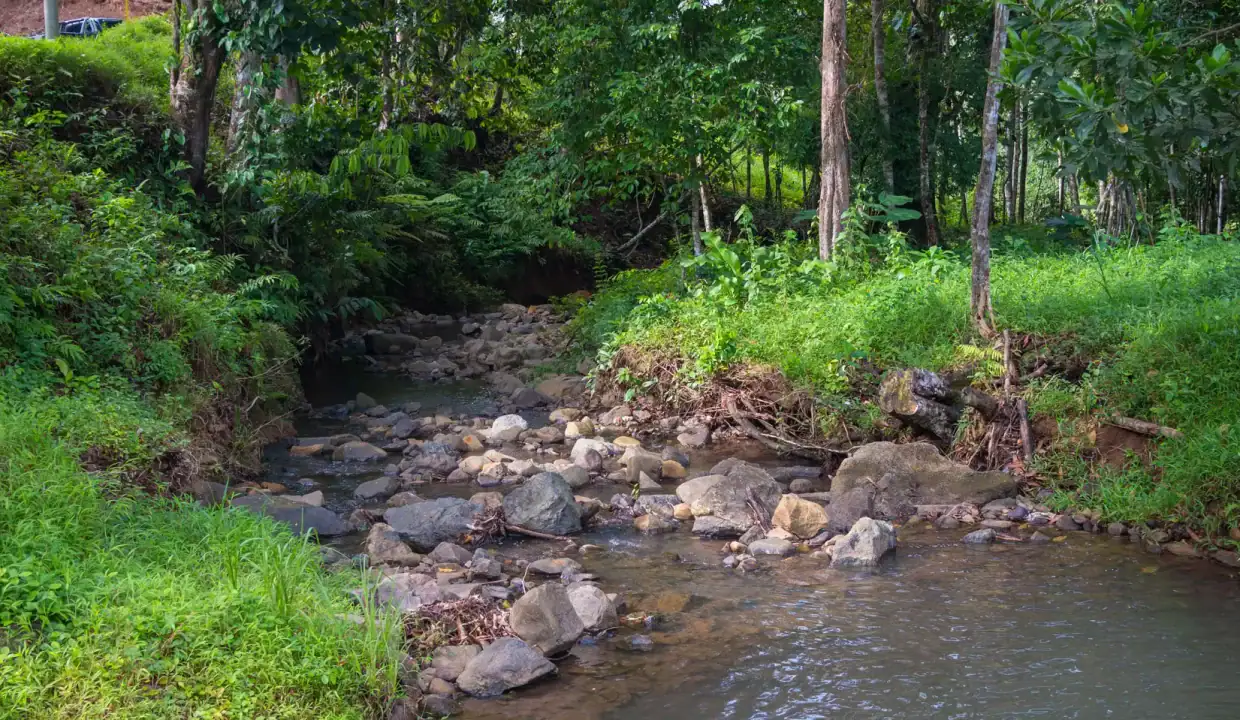 Arroyo que atraviesa terreno en venta en Panamá Sardina La Pintada Coclé