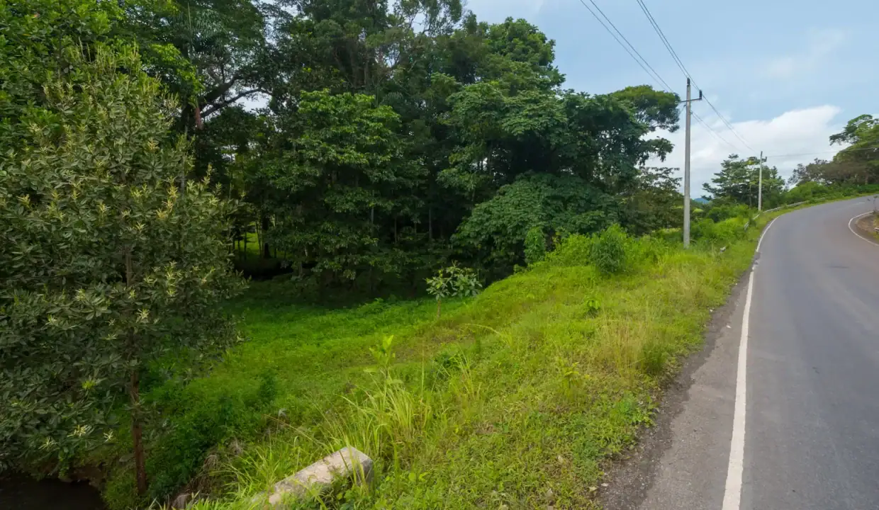 Frente sobre carretera Coclesito de terreno en venta en Panamá La Pintada Coclé