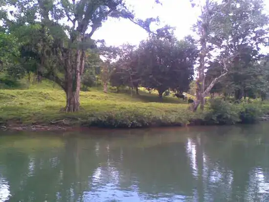 Orillas del río Cascajal en terreno en venta en Panamá Cutevilla Coclé