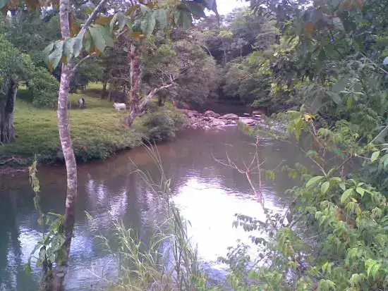 Vista tranquila del río en terreno en venta en Panamá Cutevilla Coclé