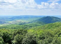 Hosszúhetény a világ legjobbjai között