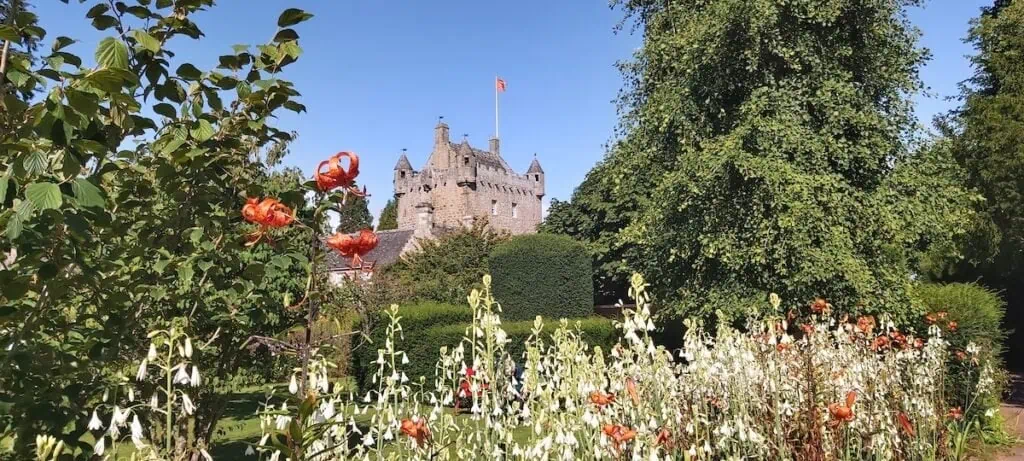 flowers from Cawdor Castle gardens looking at Cawdor Castle through the trees