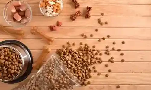 Croquetas de alta calidad para perros, saludables y deliciosas