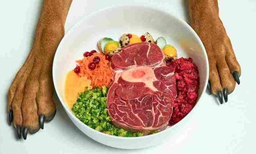 Carne fresca siendo congelada para almacenamiento seguro