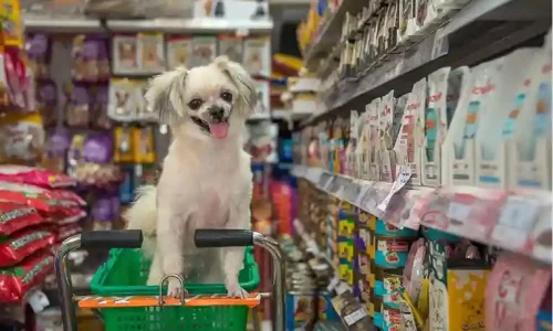 Perrito en carrito de compras, concepto de productos para mascotas