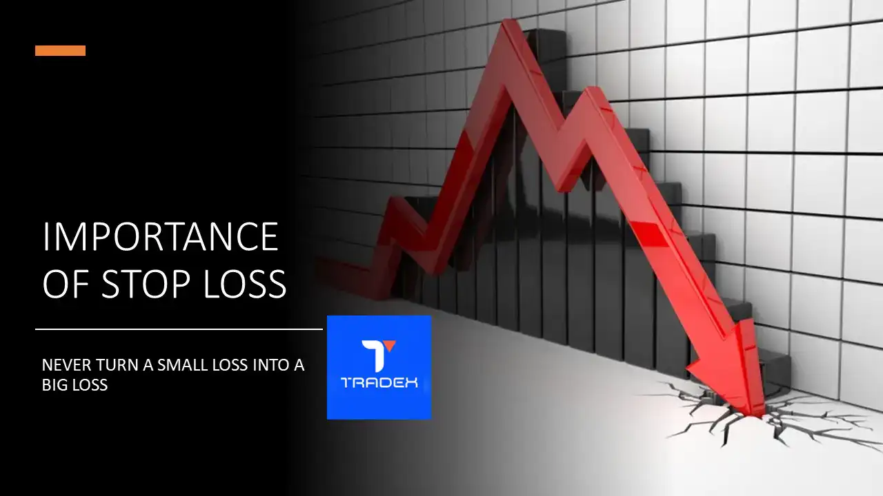  The Importance of Stop-Loss Orders in Trading