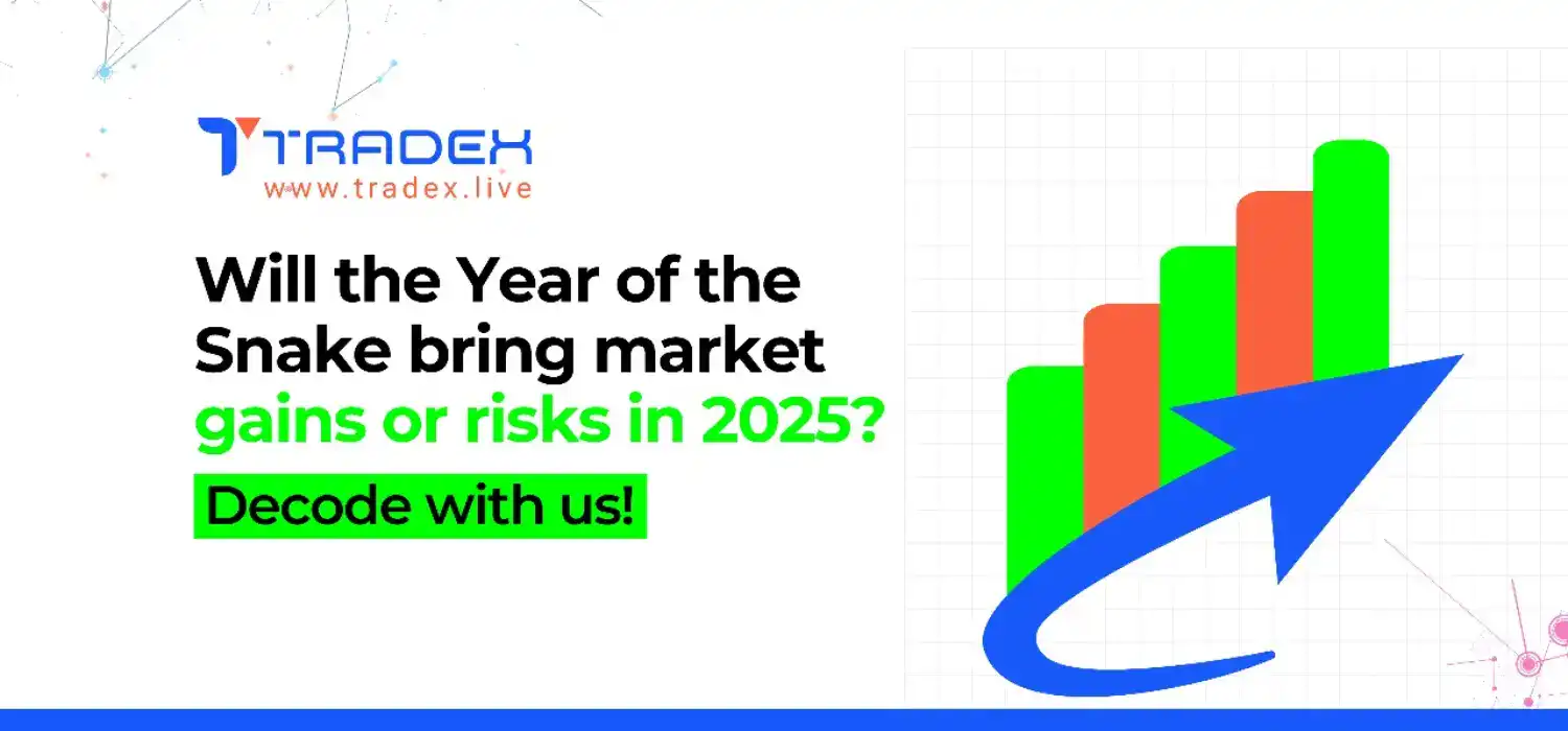  2025 Stock Market Predictions: What the “Year of the Snake” Could Mean for Your Investments