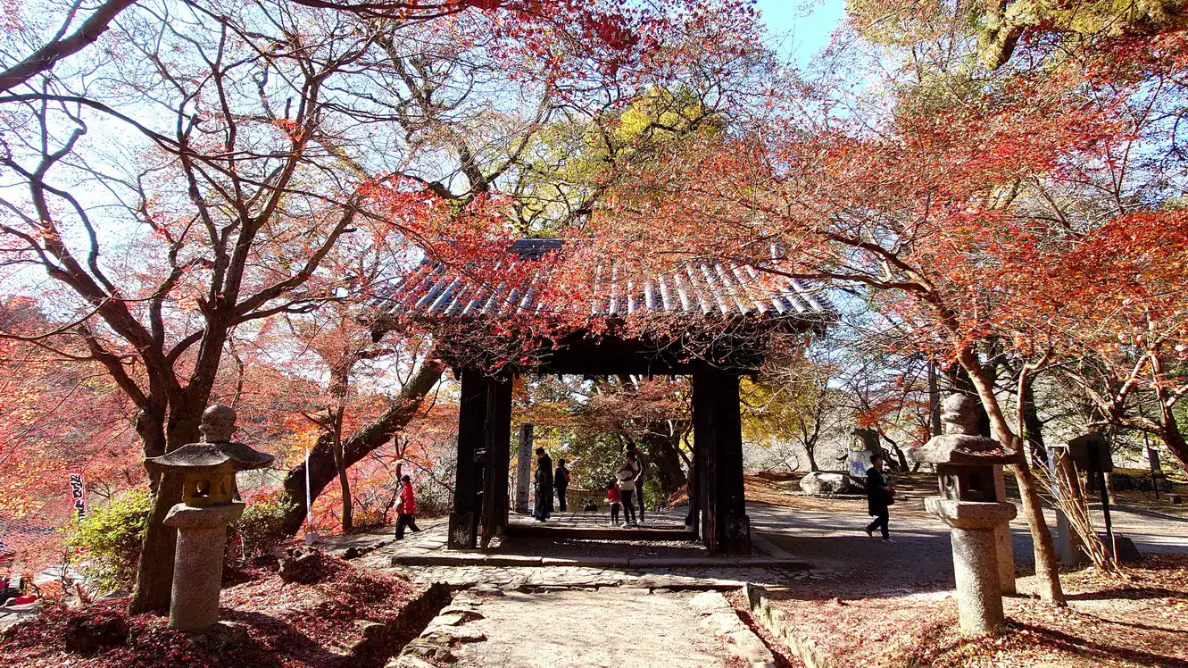 秋月城跡 紅葉