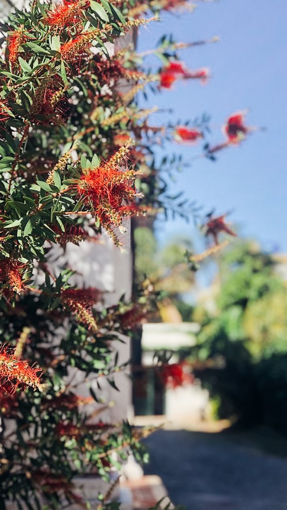 Hotel Villa Victoria