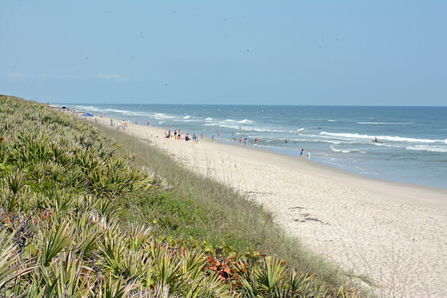 Canaveral National Seashore beach near Port Canaveral