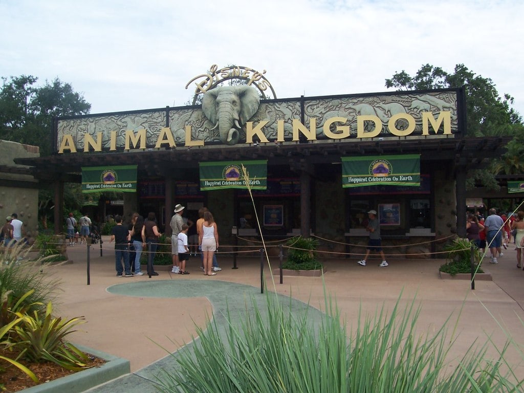 General view of Disney's Animal Kingdom
