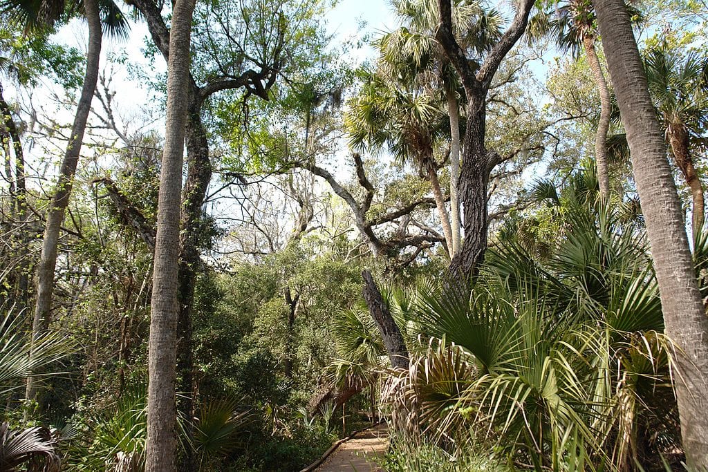 Merritt Island Wildlife Refuge
