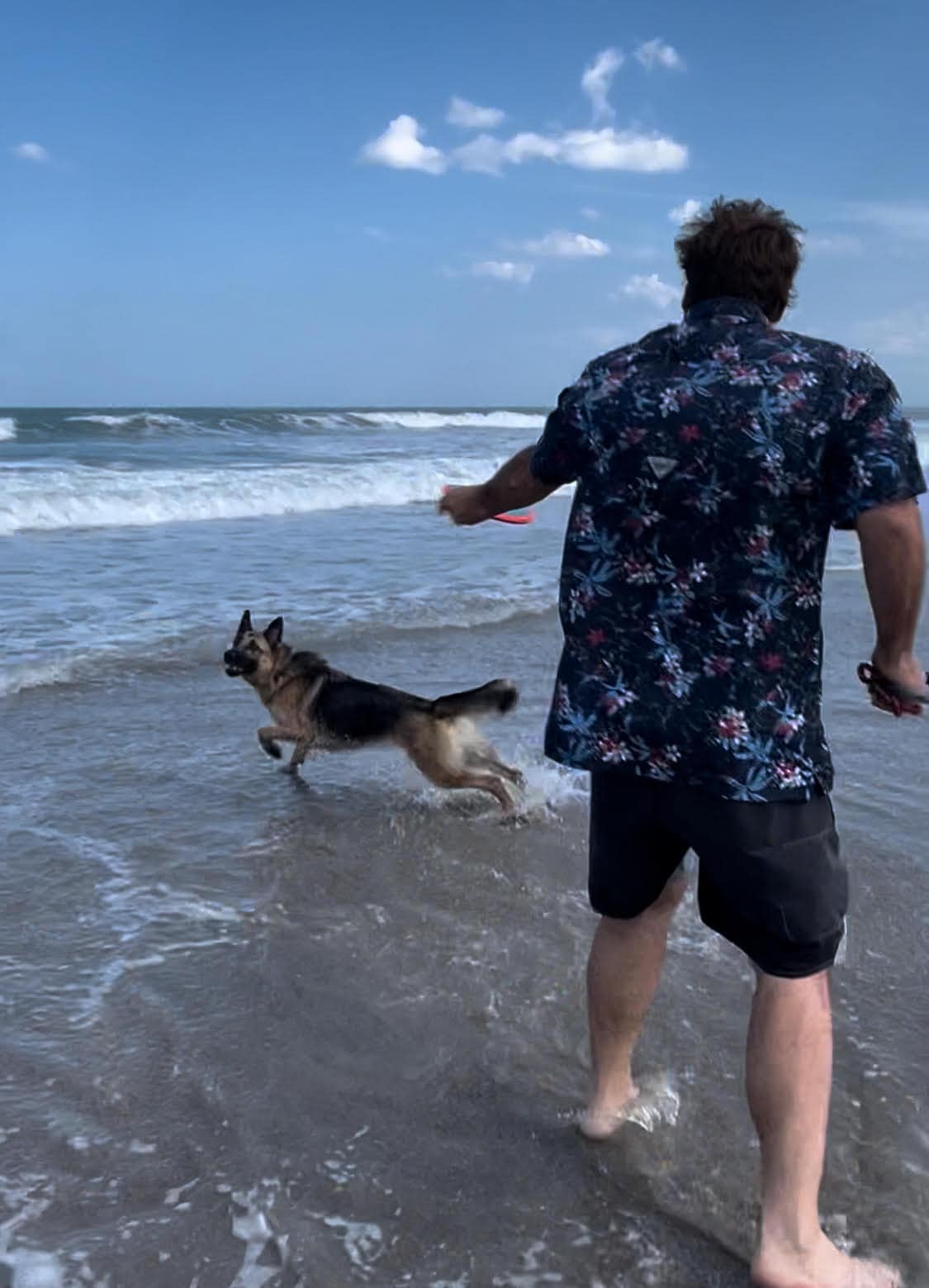 Dog friendly beach at Cocoa Beach