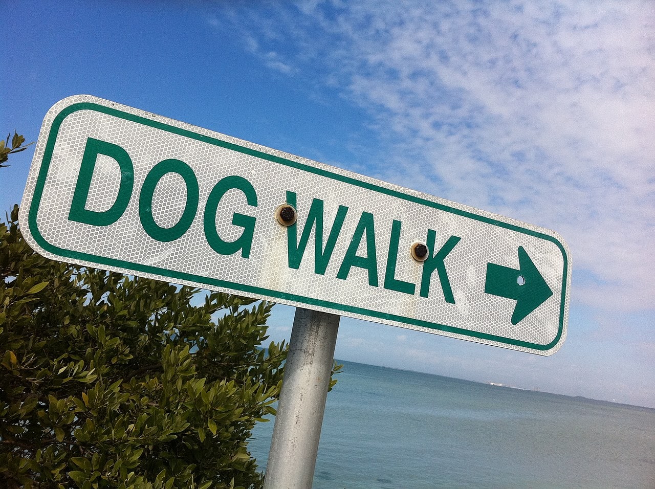 Dog walking sign in Florida park