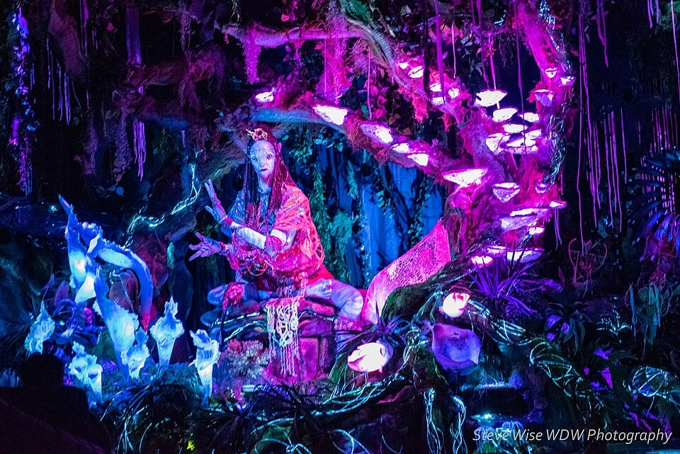 Disney's Animal Kingdom entrance and Tree of Life at Walt Disney World