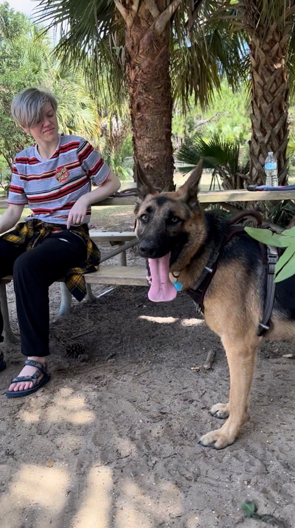 Picnic pavilion and seating area at Fred Poppe Regional Dog Park in Palm Bay Florida