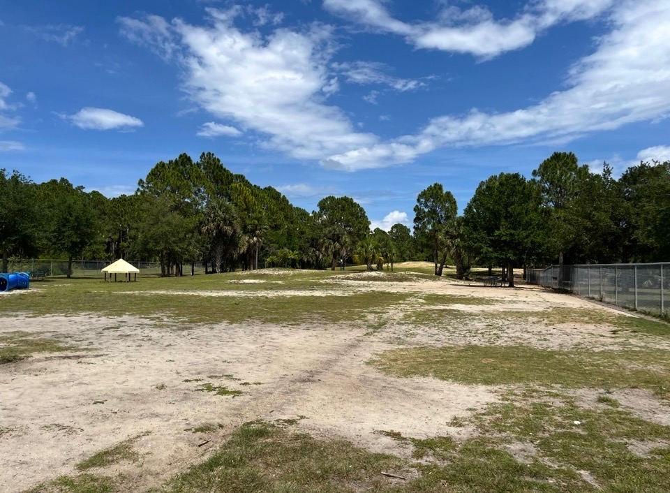 Dogs playing at Fred Poppe Regional Dog Park in Palm Bay Florida