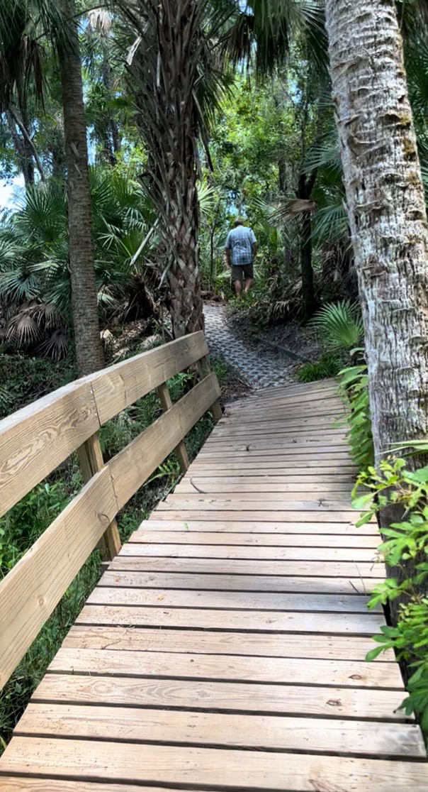 Boardwalk trail through Turkey Creek Sanctuary in Palm Bay Florida